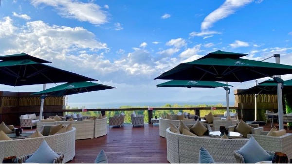 如何选择适合庭院露台的户外家具？